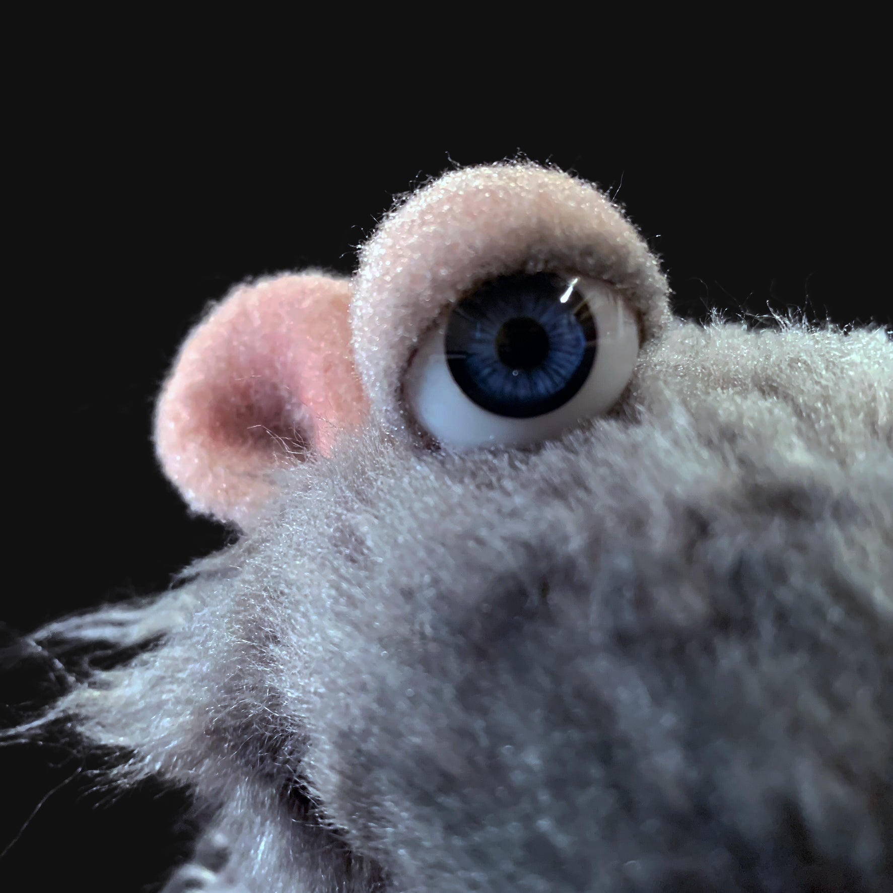 Winston - Project Puppet
