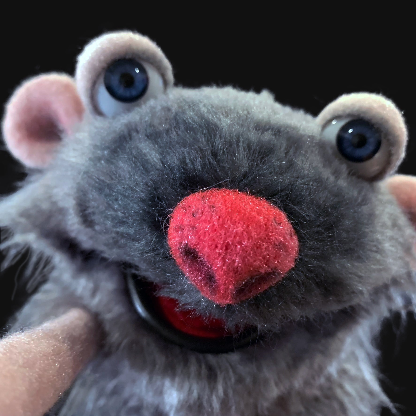 Winston - Project Puppet