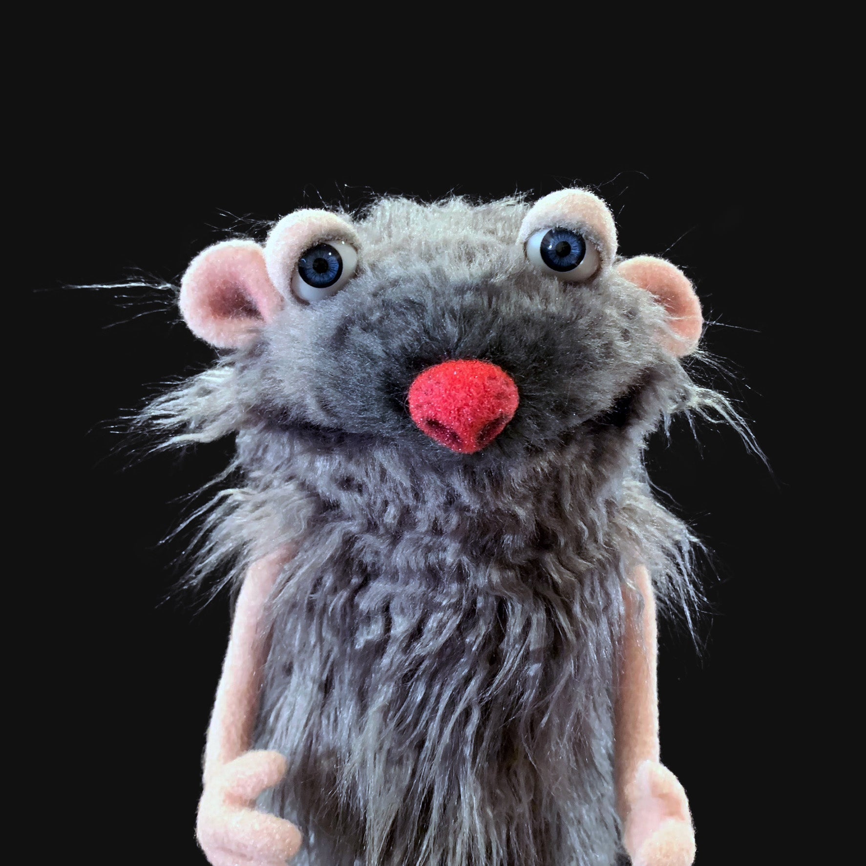 Winston - Project Puppet