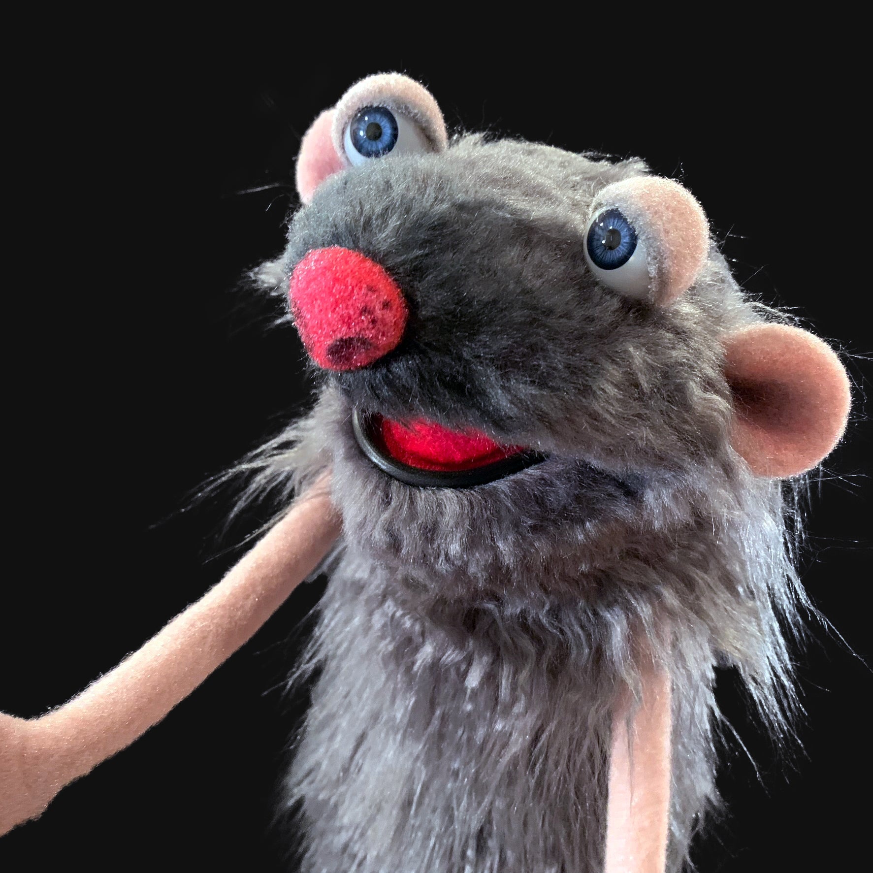 Winston - Project Puppet